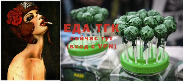 хмурый Няндома