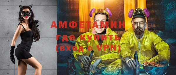 хмурый Няндома