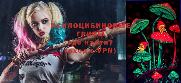 МДПВ Абдулино