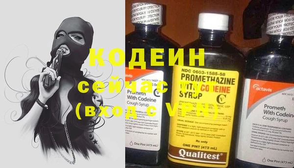 крисы Абаза