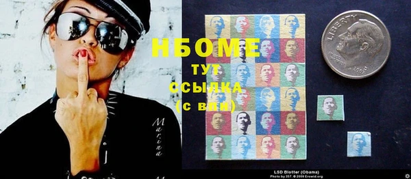 хмурый Няндома
