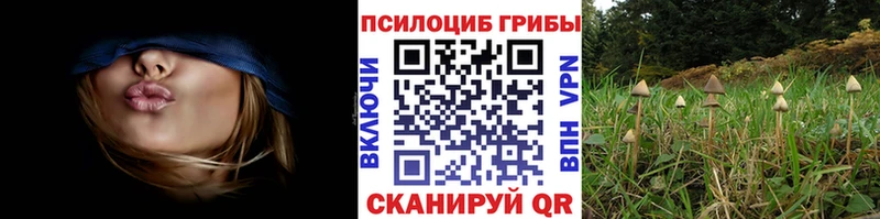 Галлюциногенные грибы MAGIC MUSHROOMS  что такое   Мосальск 